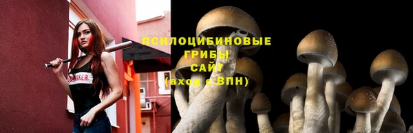 ПСИЛОЦИБИНОВЫЕ ГРИБЫ Богородск