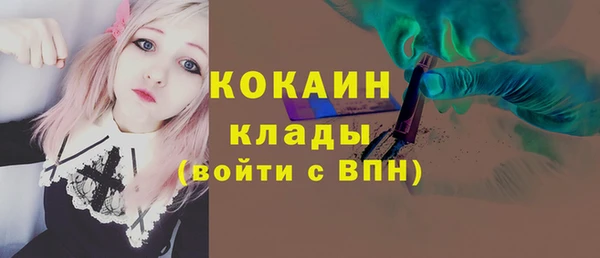 дживик Белокуриха