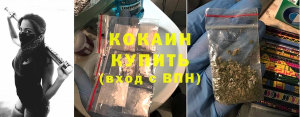 дживик Белокуриха