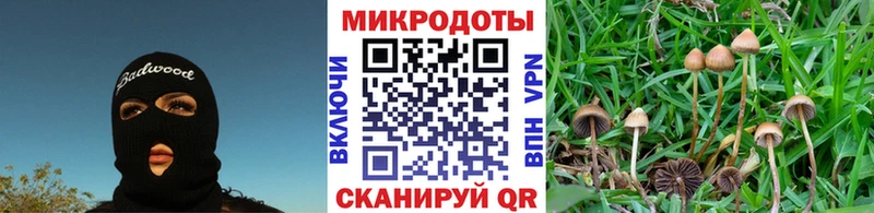 Псилоцибиновые грибы Magic Shrooms Гремячинск